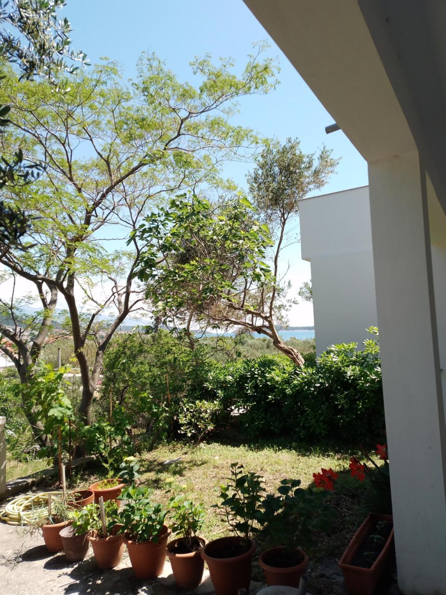 Ribaric Villa Banjol Ngoại thất bức ảnh